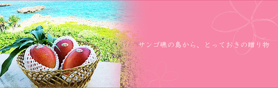 宮古島 マンゴー｜ふるさと農園 宮古島産マンゴーの独特の酸味と絶妙も甘みのコラボレーションをお楽しみください！宮古島産マンゴー全国発送いたします！