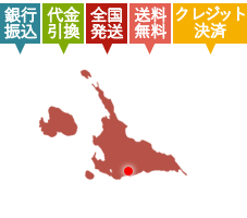 宮古島マンゴー全国発送！