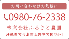 宮古島 マンゴー｜株式会社ふるさと農園 0980-76-2338